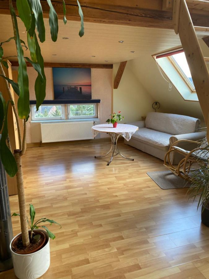 Helles Und Charmantes Loft Mit Herrlichem Blick Dresden Eksteriør bilde