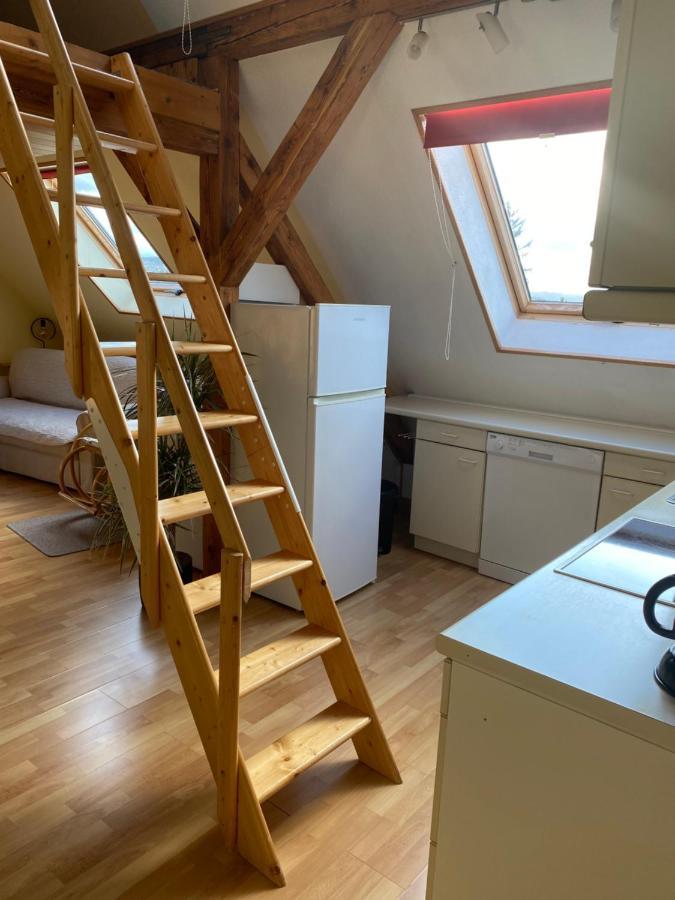 Helles Und Charmantes Loft Mit Herrlichem Blick Dresden Eksteriør bilde