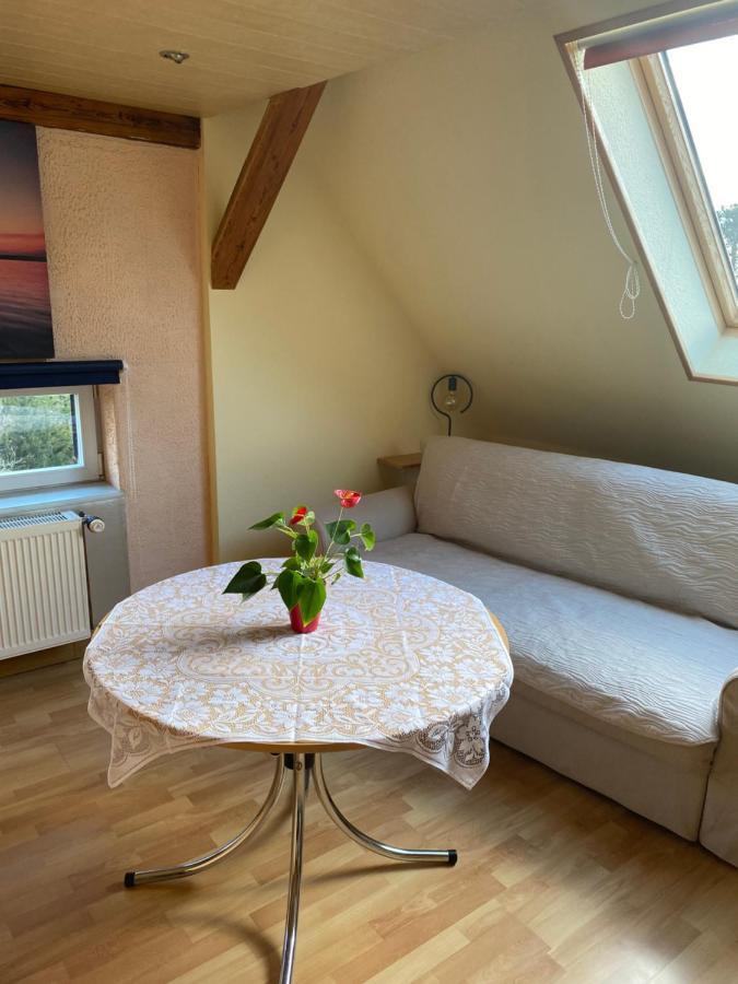 Helles Und Charmantes Loft Mit Herrlichem Blick Dresden Eksteriør bilde