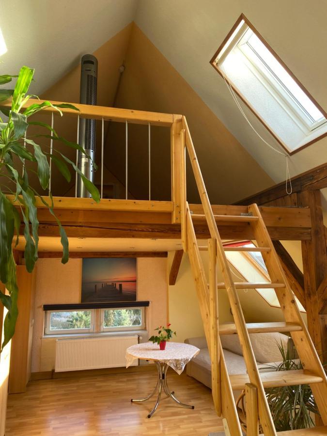 Helles Und Charmantes Loft Mit Herrlichem Blick Dresden Eksteriør bilde