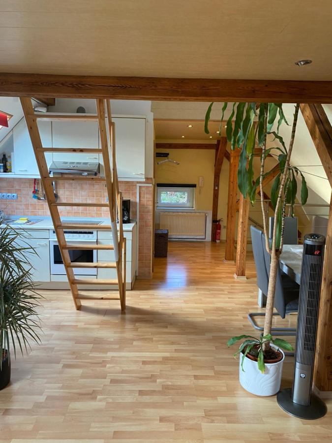 Helles Und Charmantes Loft Mit Herrlichem Blick Dresden Eksteriør bilde